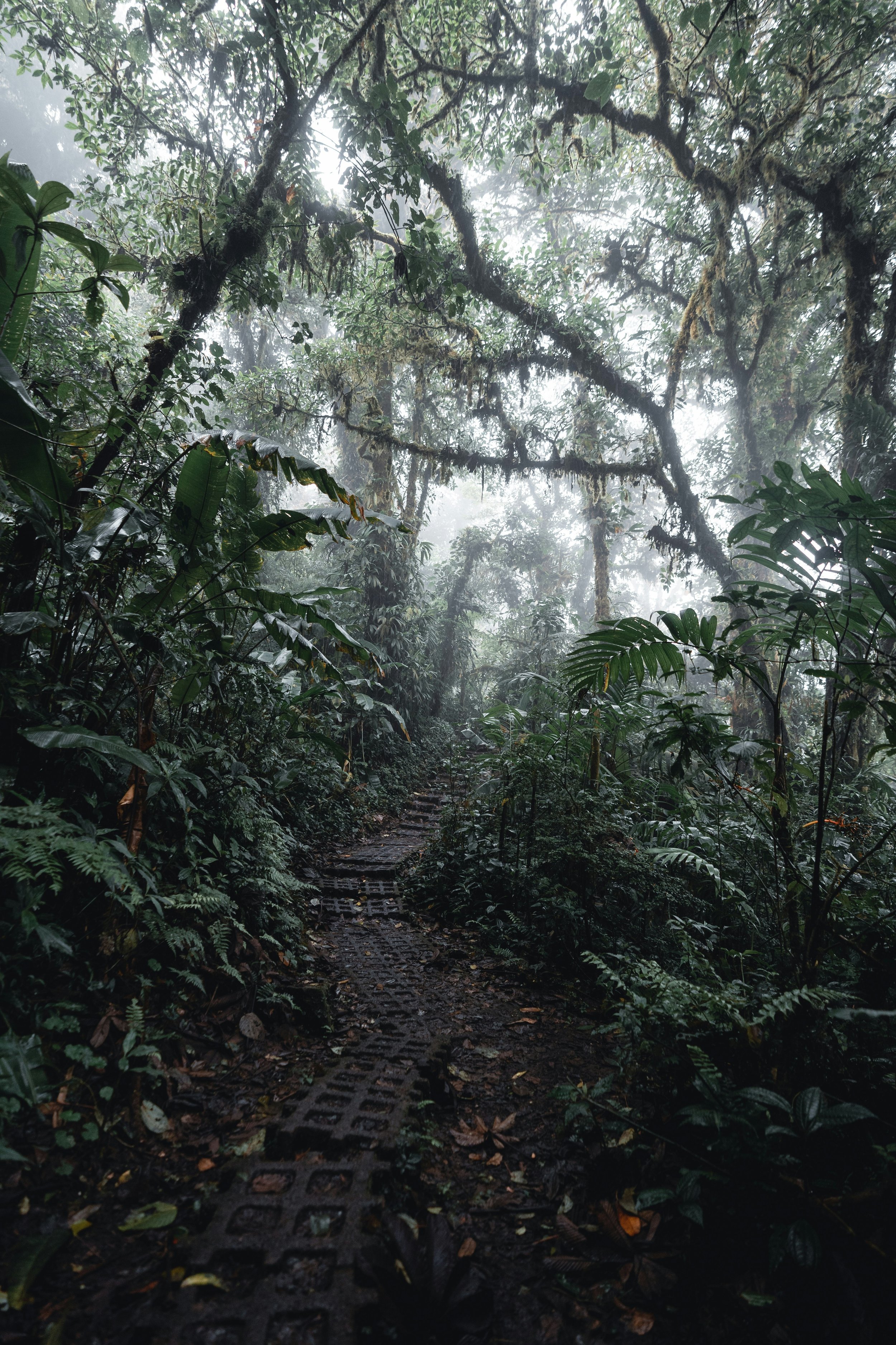 jan-weber-Xgw4gisgidI-unsplash.jpg