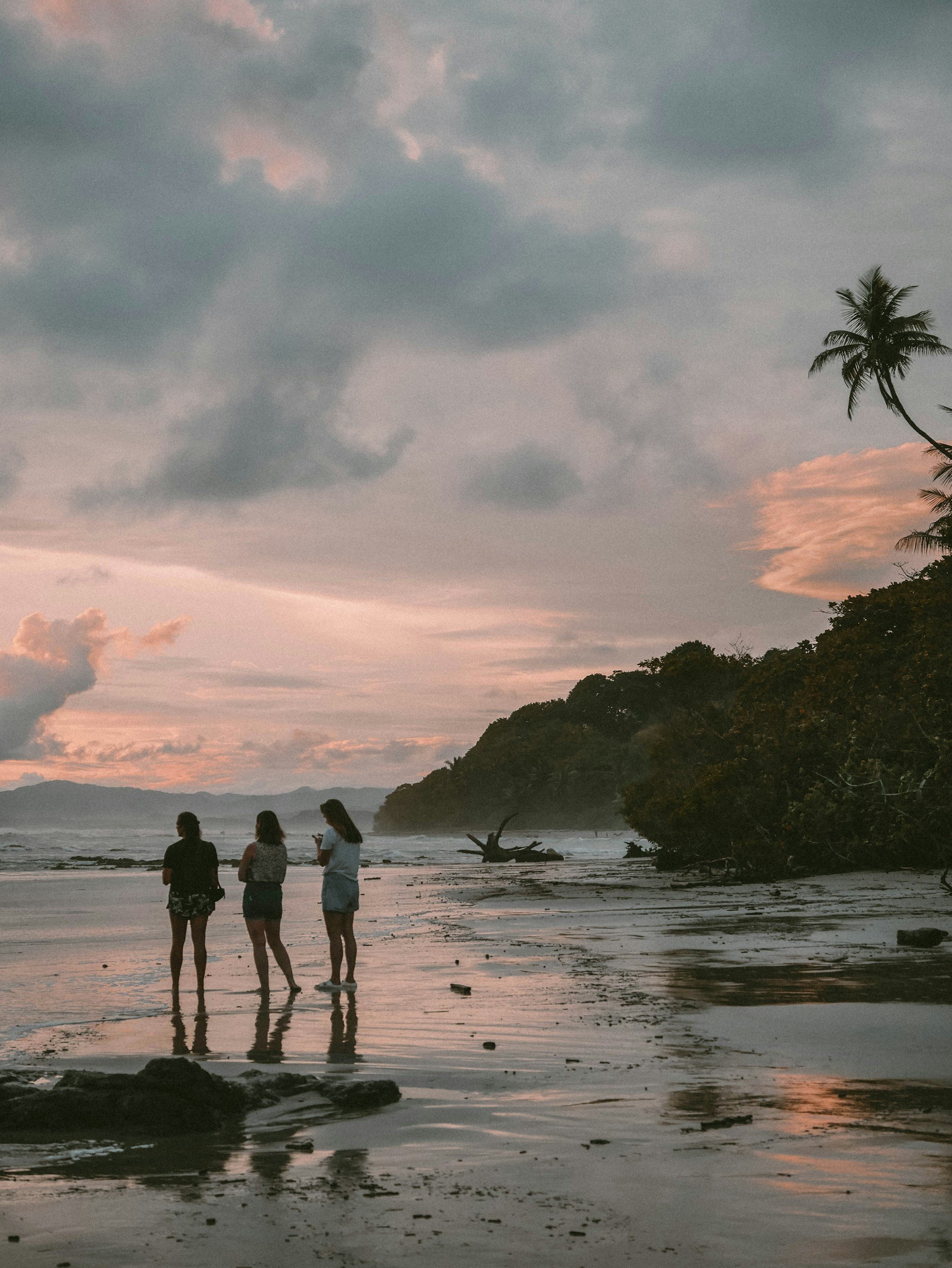 Three women walking along a beach at sunset, with clouds overhead and trees on the right, including a palm tree, and driftwood on the shoreline.